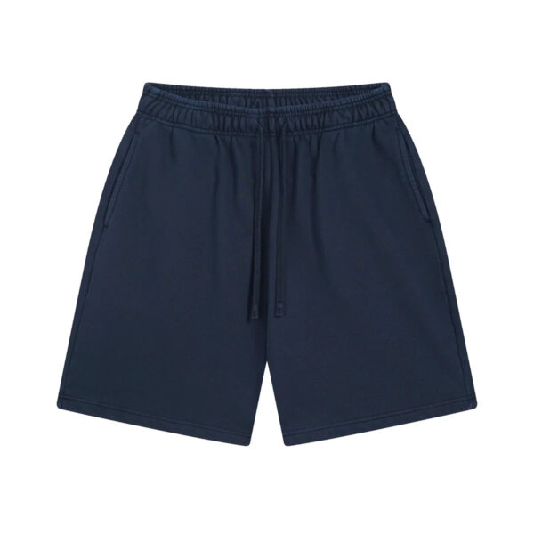 AVELURE EVERYDAY SHORTS
