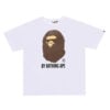 Bild351.jpg "Ape" Tee