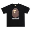 Bild352.jpg "Ape" Tee