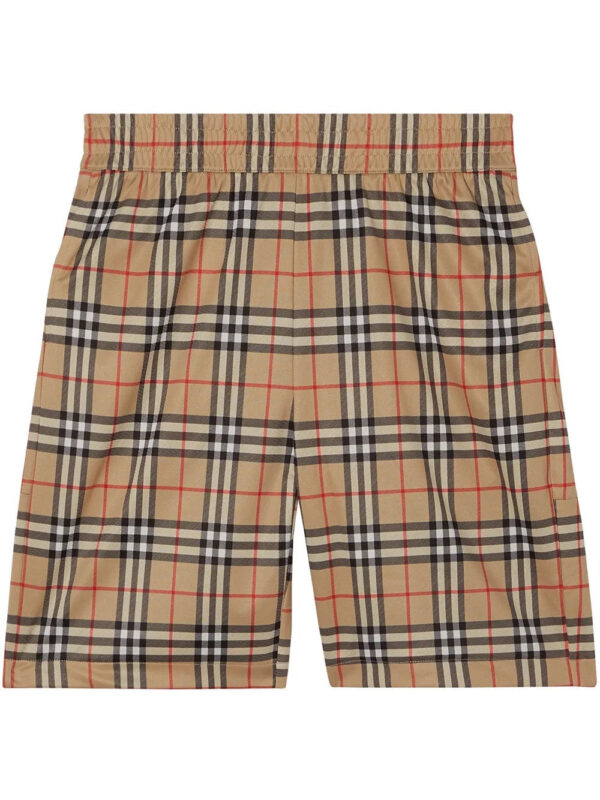 "Berry" Shorts V3