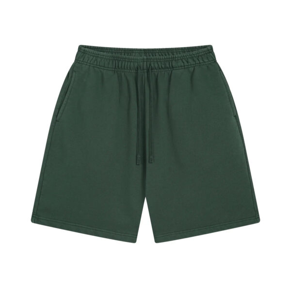 AVELURE EVERYDAY SHORTS