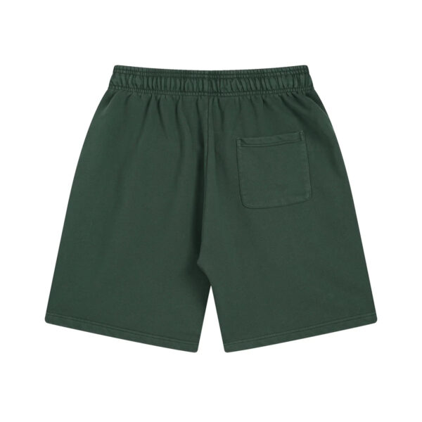AVELURE EVERYDAY SHORTS
