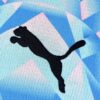 Switzerland 2026 World Cup Away Shirt